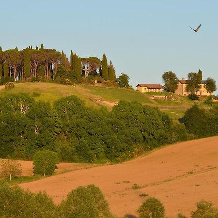 Azienda Agrituristica Il Sarale Villa Montone  Eksteriør billede