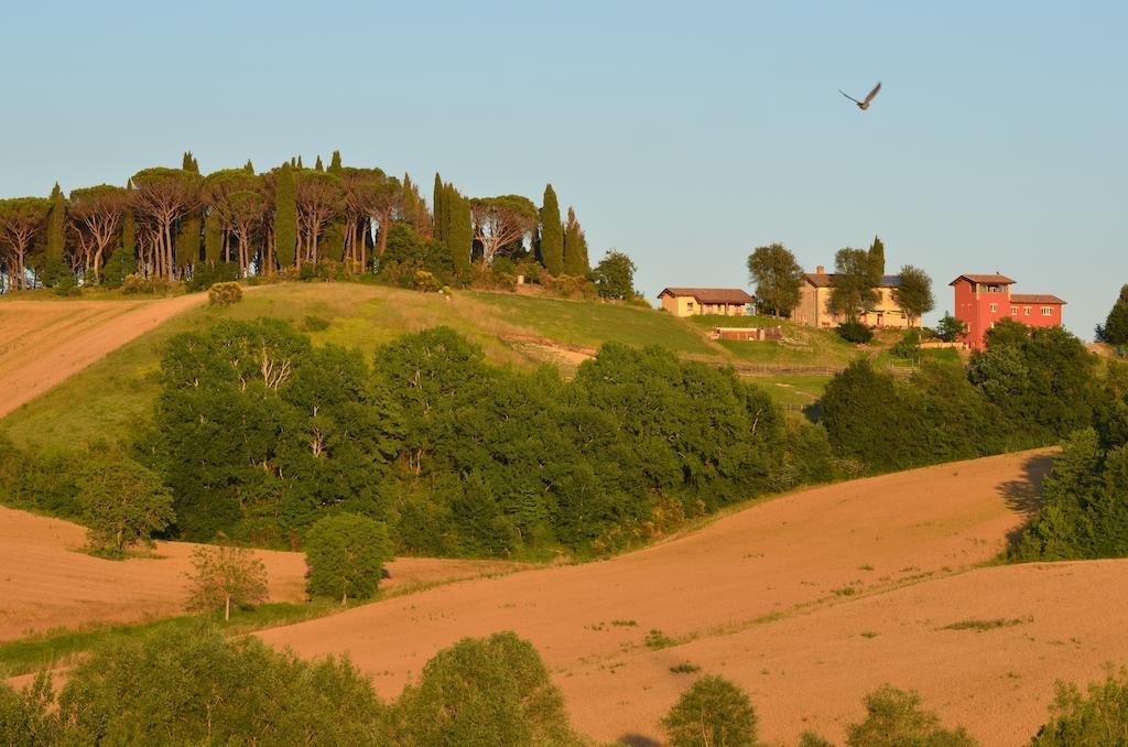 Azienda Agrituristica Il Sarale Villa Montone  Eksteriør billede