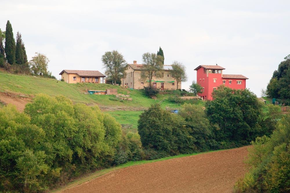 Azienda Agrituristica Il Sarale Villa Montone  Eksteriør billede